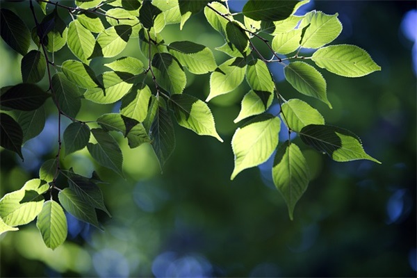 女生霸气狠话句子 适合女生放狠话的句子
