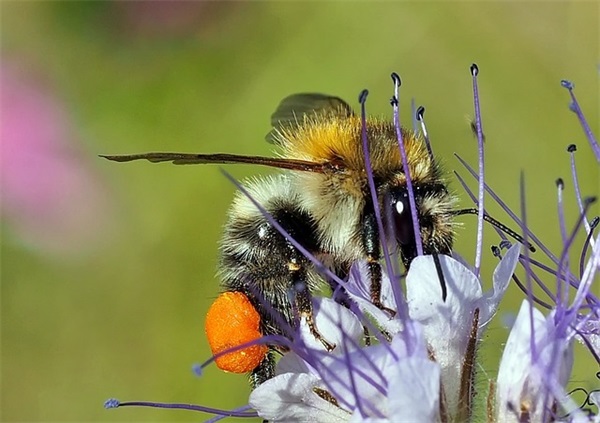 2026年情人节对心爱的人表白的句子