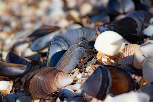 表示为爱付出的感悟句子