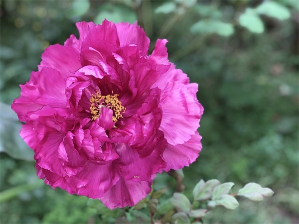 超级甜蜜的文案 很甜很撩的句子撩女生