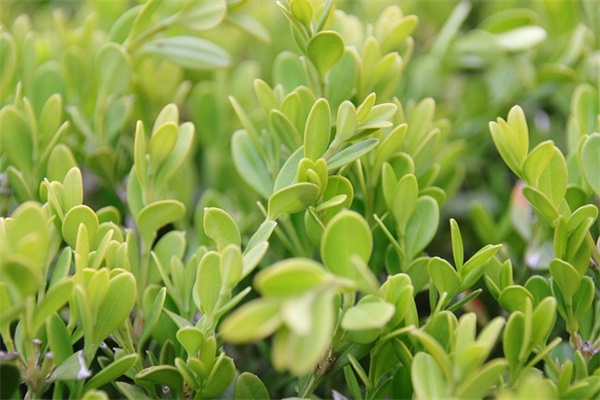 古风句子励志句子82句