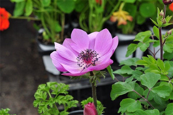 吐槽男友的幽默句子 调侃爱情的搞笑短句精选