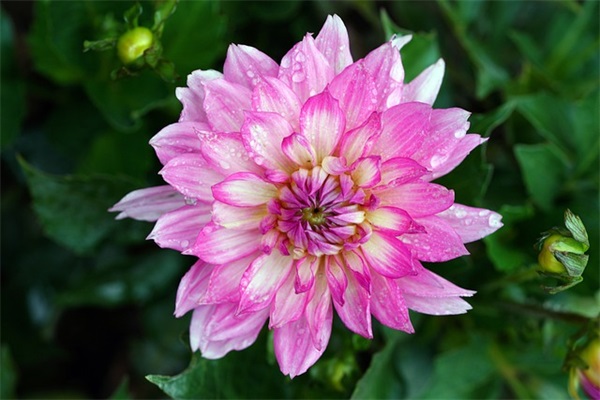 社会女句子短句霸气十足62句