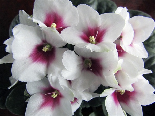 写给卑微的自己的句子 讽刺自己卑微的句子