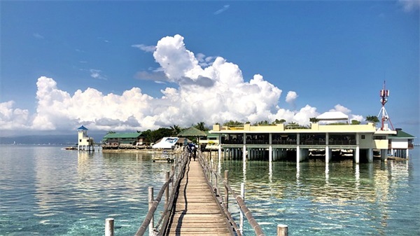 关于红豆的相思句子 描写红豆句子