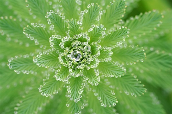 描绘岁月催人老的伤感句子4(感叹岁月催人的句子)