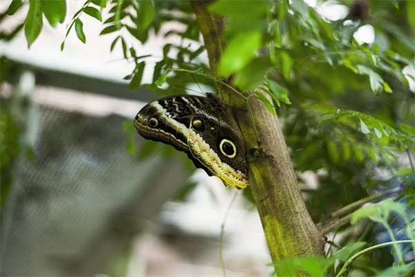 不开心郁闷的心情短语 心情郁闷的句子