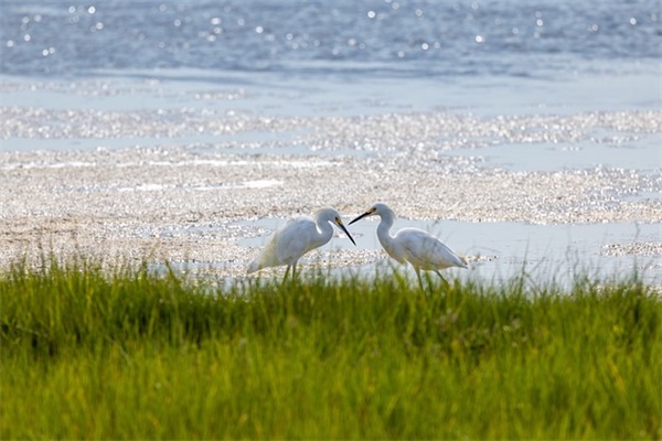 心里充满了恨意的句子 仇恨的名句子