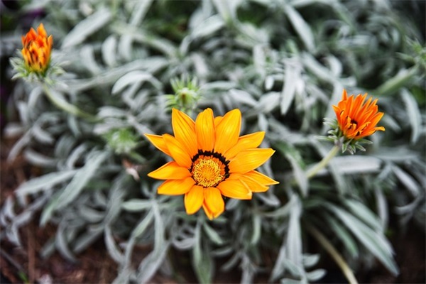 形容心情不好的句子