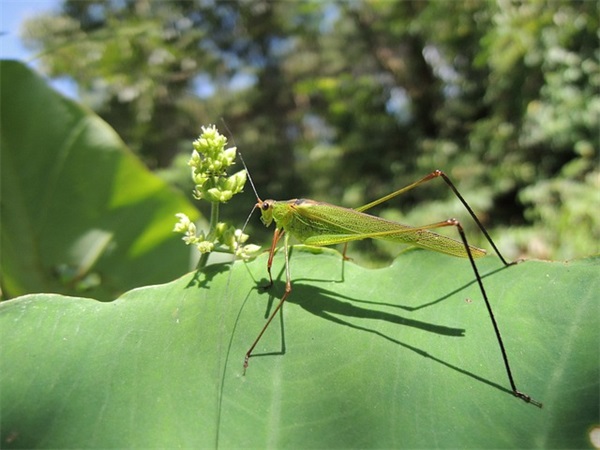 安慰别人被冤枉的励志句子