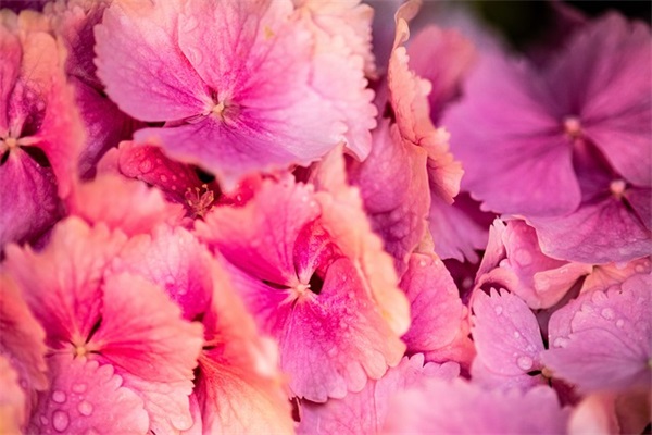 最有深度魅力的句子 有深度的成熟励志句子