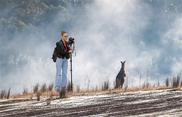 精选的关于大海的优美句子大全(关于大海的优美语句)