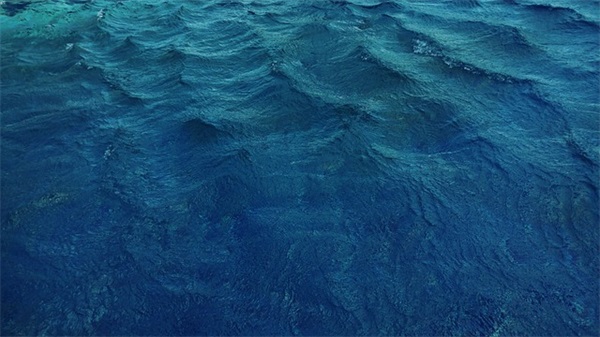 早安打卡句子正能量