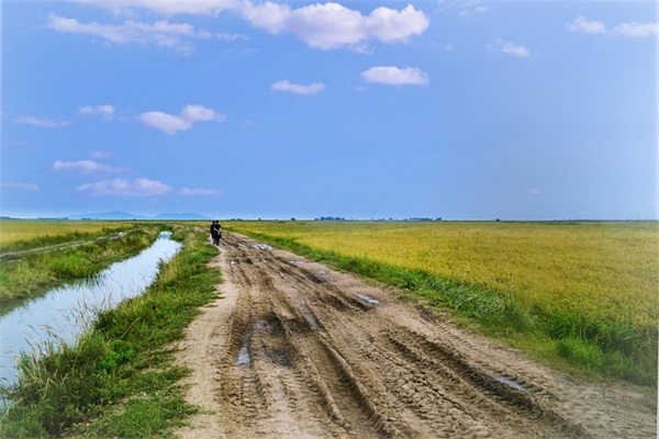 献给辛苦的女人句子 女人再苦再累也要坚持的句子