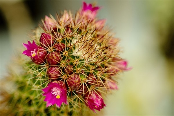 最新的描写岁月无情的句子大全(伤感岁月无情的句子)