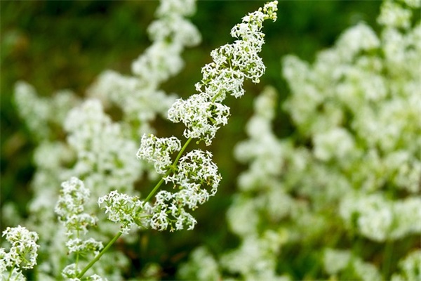 期待客户到来的句子 期待爱人到来的句子