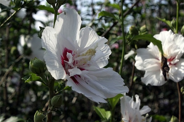 海尔广告标语39句