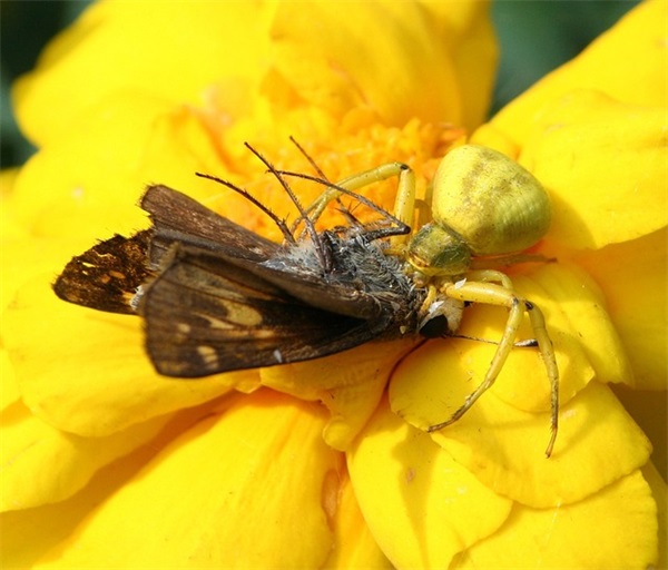 霸气决战双11口号 决战双11的口号