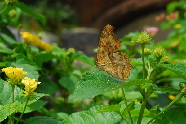 慈善公益活动宣传标语 公益活动温暖宣传标语