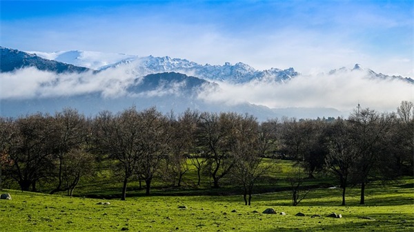 2026年父亲节宣传标语29句