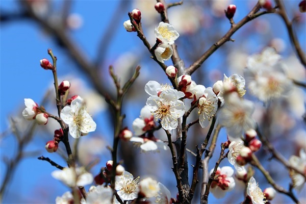年度会议主题及口号 季度会议主题 口号