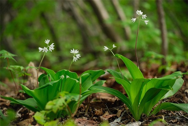 环保企业精神口号大全