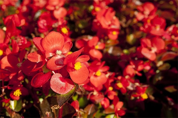 财务口号大全31句