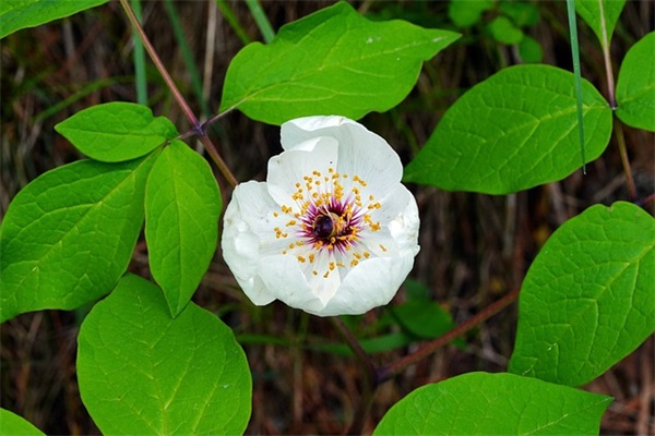 教育机构宣传霸气口号押韵(最吸引人的招生广告语)