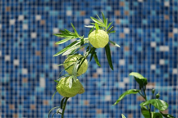 可爱的运动会口号43句