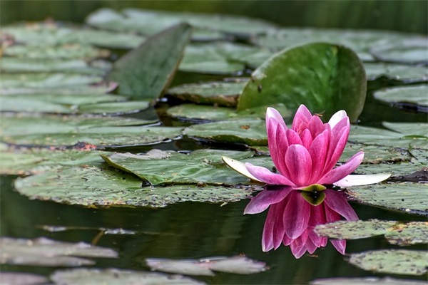 法院标语 法院标语