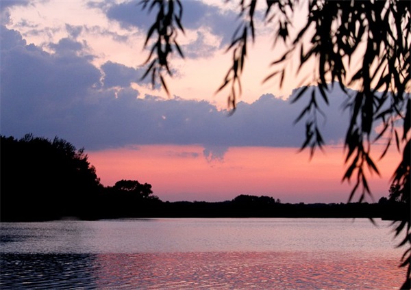 防控新型冠状病毒感染的肺炎口号大全