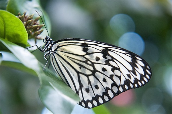比较搞笑的团队口号 个性团队口号搞笑押韵