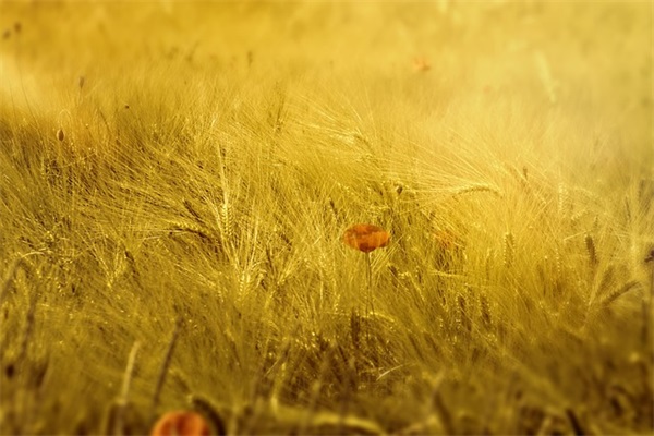 车后标语 车后面贴标语