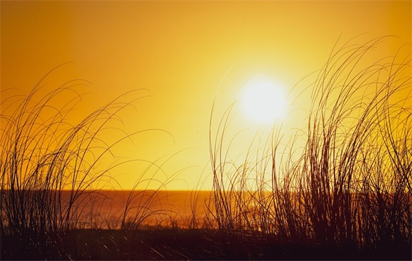 防灾减灾条幅的宣传标语(2026年防灾减灾日宣传标语)