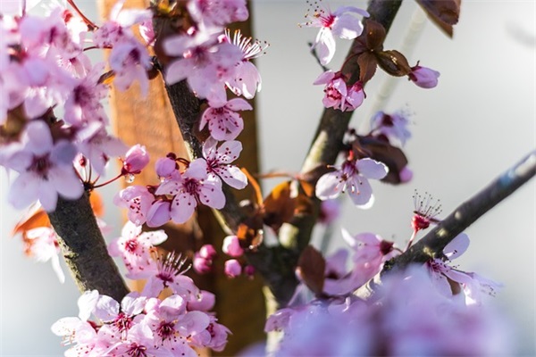 班级运动会口号幼儿园47句