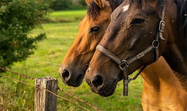 抖音热门春季校运会口号搞笑(校运会口号霸气搞笑)