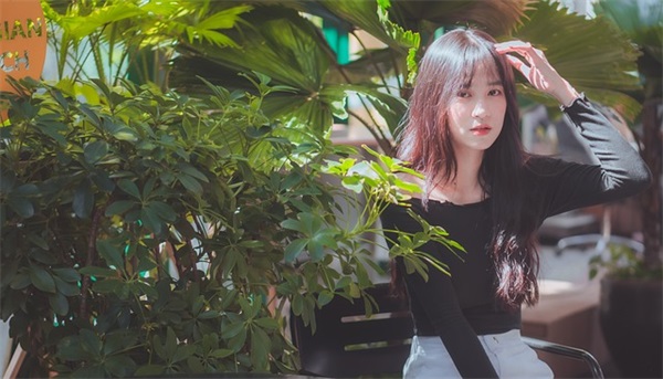 虎年公司年会标语横幅 公司年会横幅标语霸气