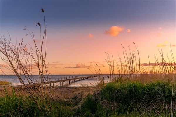 关于运动会霸气口号大全