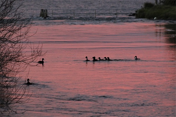 学校宣传安全的标语口号83句
