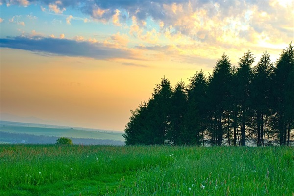 服务企业口号大全84句