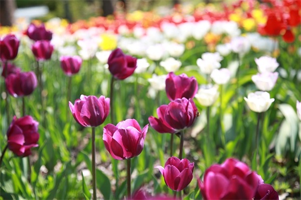 宝贝祝福语2026简短 宝贝祝福语简短