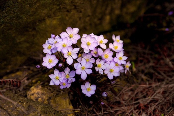 数字开头的祝福语23句