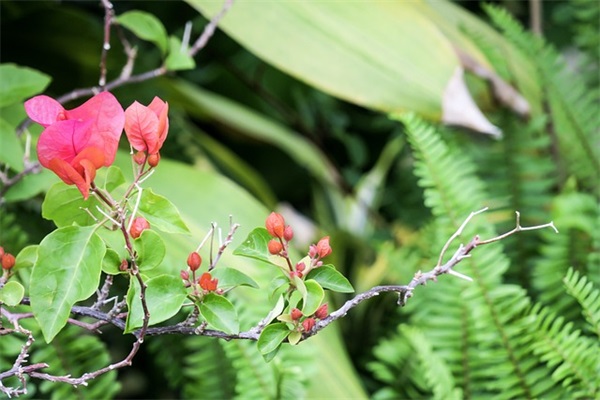 古代最美结婚祝福语 古代最美结婚贺词两句
