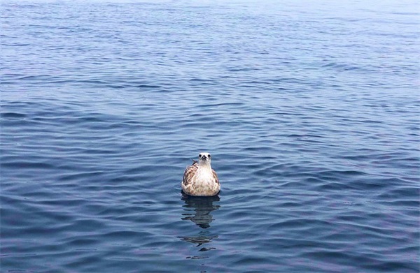 逗比搞笑的生日祝福语字 幽默搞笑的生日祝福语