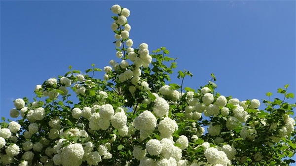 店面开业祝福语 店面开业祝福语短句