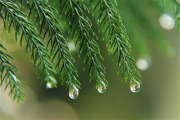 四字的宝宝祝福语53句