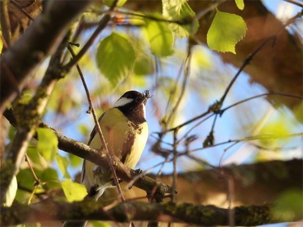 吉林旅游宣传口号23句