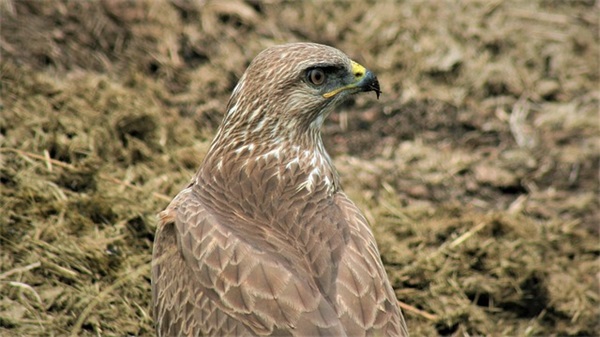 节约光荣浪费可耻宣传标语(节约光荣浪费可耻宣言书)