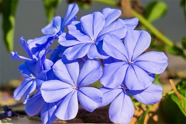 6字团队口号霸气押韵20句