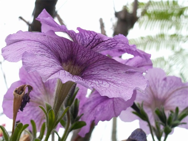 服务品牌口号大全保险21句